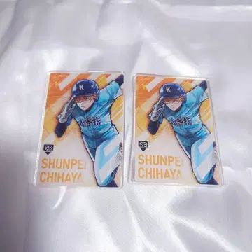 치하야 슌페이 스탯 카드