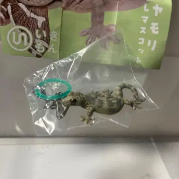 네이처 테크니컬러 도마뱀과 도마뱀 메지루시 마스코트 일본도마뱀(포식)