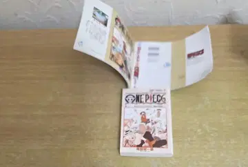 콩 가샤본 원피스 1 & 코치카메 1 세트