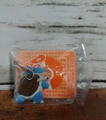 포켓몬 거북왕 메탈 참 레어템