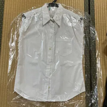 바네사브루노 아테