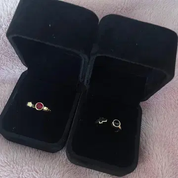 [ 지구의 운동에 대하여 ] 반지 오크지 바데니 세트