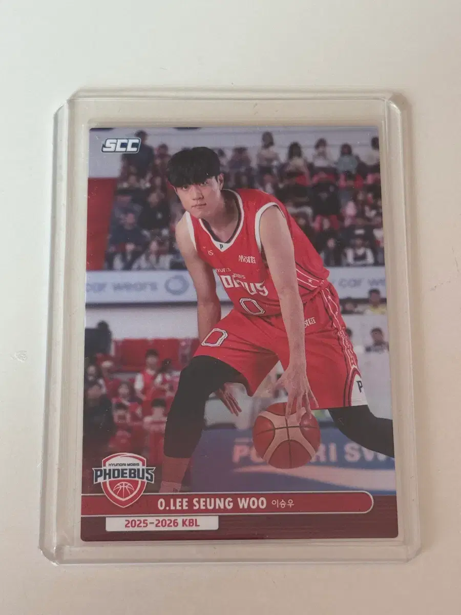 25-26 kbl 프로농구 울산 현대모비스 이승우 노멀 카드 판매 양도