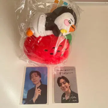 이준호 [ MIDNIGHT SUN ] 굿즈