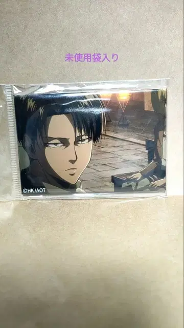 [미사용] 진격의 거인 리바이 백경 캔뱃지 스키야 카드 8장 덤