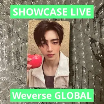 ENHYPEN VANISH SHOWCASE 트레이딩 카드 성훈