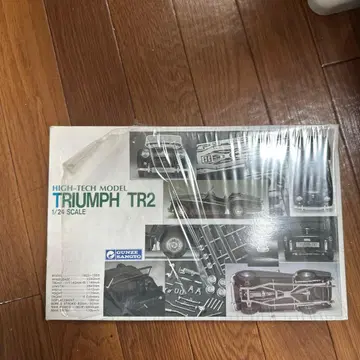 GUNZE TRIUMPH TR2 1/24 스케일