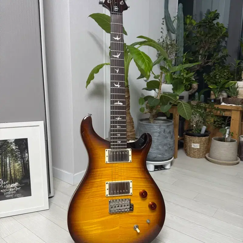 Prs se dgt