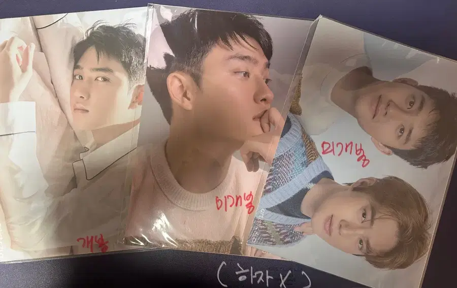 액소 디오 도경수 flo 일괄 양도