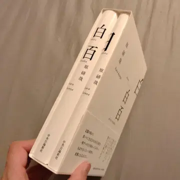 화이트 화이트백 세트 하라 켄야 특장 박스형