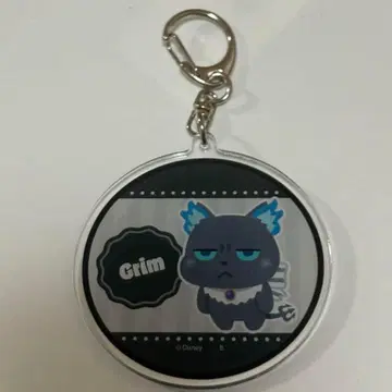 이라스토야 그림 아크릴 키링 트위스테