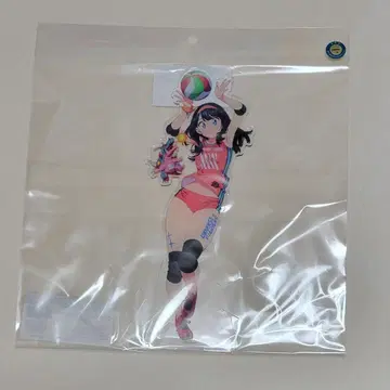 그리드맨 유니버스 게마 복권 A상 빅 캐릭터 아크릴 피규어 타카라다 릿카