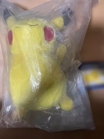 포켓몬스터 소드 실드 발매 기념 복권 B상 피카츄 봉제 인형