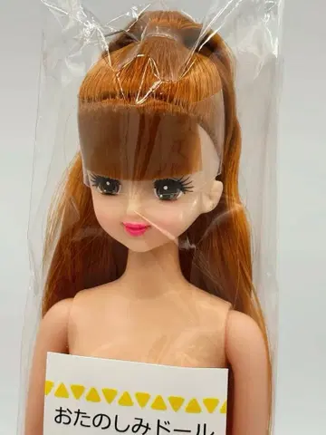 초대 제니 리카짱 캐슬 오타노시미 인형 포니테 제니 프렌드