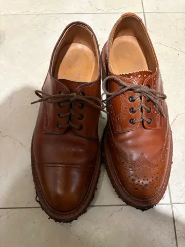 네펜데스 별주 트리커스 비대칭 윙칩 NEPENTHES