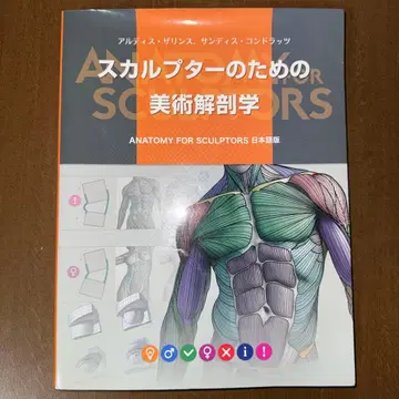 스컬프터를 위한 미술 해부학