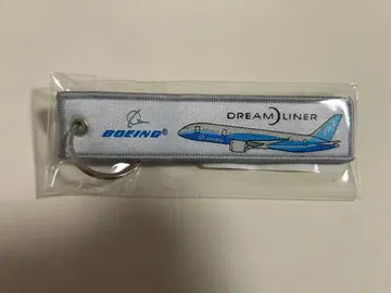 비행기 B787 RBF 천 키링