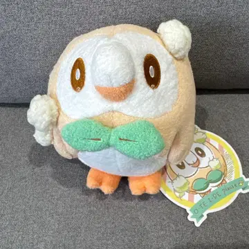 포켓몬 모쿠로 봉제 인형 OTEIRE