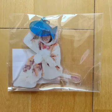 후지시마 카호 아크릴 키링 동물 인형옷 히나타자카46 고양이 코스