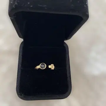 지. 지구의 운동에 대하여 바데니 반지