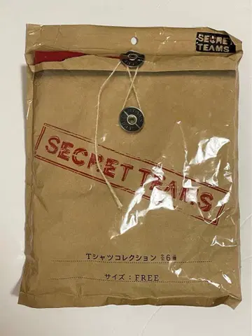 즉시 구매 가능 포켓몬 센터 SECRET TEAMS 마그마단 로고T셔츠