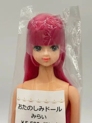 미라이 리카짱 캐슬 오타노시미 인형 히메컷 제니 프렌드