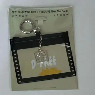 정용화 D-FREE LIVE 서울 콘 키링