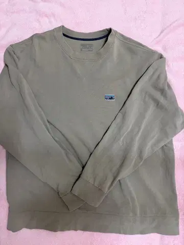 파타고니아 데일리 크루넥 스웨트 셔츠 XL 씨버드 그레이