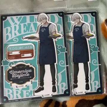 WIND BREAKER 윈브레 22카레 우메미야 잇치