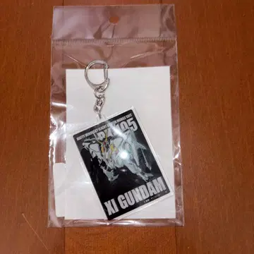 기동전사 건담 섬광의 하사웨이 아크릴 참 크시 건담