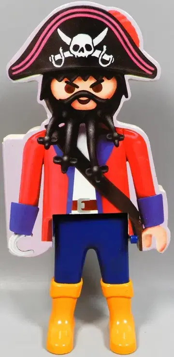 PLAYMOBIL 플레이모빌 북 해적
