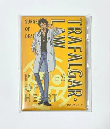 원피스 로우 스퀘어 캔뱃지 의사 흰 옷