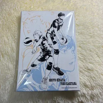 하이큐 아트 보드 센다이 관광 특사 취임 기념 카게야마 히나타