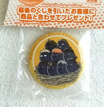 하이큐 제일복권 2014 라스트원상 캔뱃지 히나카라스 카라스노 고교