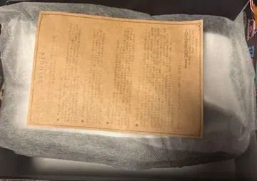 SPINGLE MOVE 포켓몬 콜라보 단데 LL 사이즈