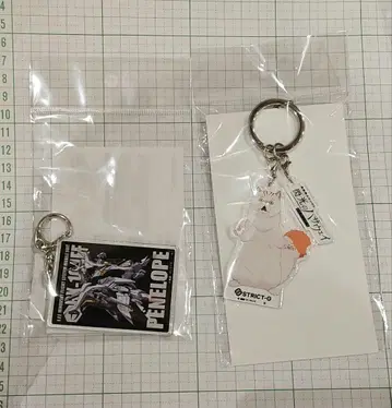 기동전사 건담 섬광의 하사웨이 킬케의 마녀 아크릴 키링 2개