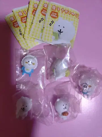 앉아있는 나가노의 곰 나가노 곰 가챠 베이비 빵 새상품