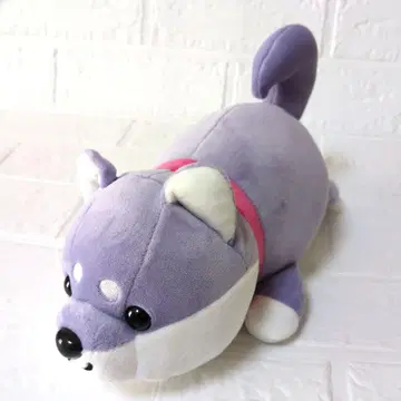 아시카가 플라워 파크 한정판 해피 마메시바 시바견 봉제 인형