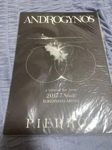 ANDROGYNOS 2017 팜플렛 direngrey Pierrot
