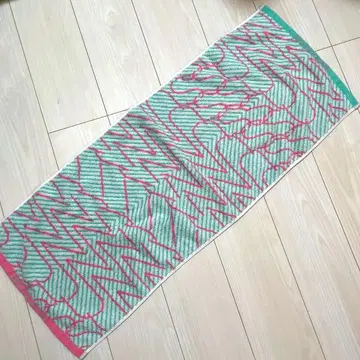 시이나 링고 타월