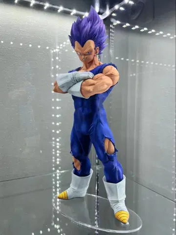 그란디스타 Grandista 베지터 와가마마노고쿠이 리페인트