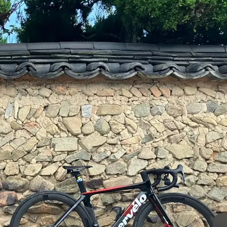 CERVELO | 써벨로 Cervelo T4 Frameset on Bunjang Global Site.