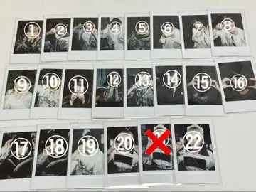 러브시크 료 폴라로이드