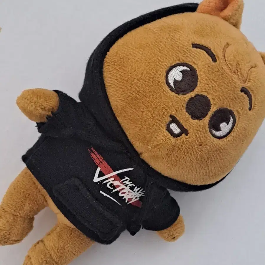 Stray Kids Felix BbokAri Lee Know Leebit Original Skzoo #스키주