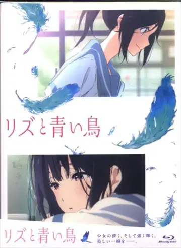 애니메이션 Blu-ray 리즈와 파랑새 일반 버전