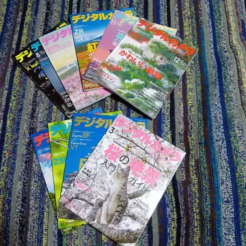 디지털 카메라 매거진 2025년 3월호부터 12월호 묶음 판매 새상품급