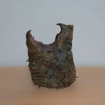 악어거북 리얼 헤드 3D 피규어 입상