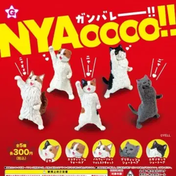 NYAoooo!! 전 5종