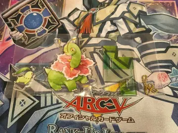 치코리타 메가니움 스탠드 포함 아크릴 참 컬렉션