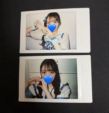 카세 마이 란체키 치어 의상 투어 의상 아이라이프 폴라로이드